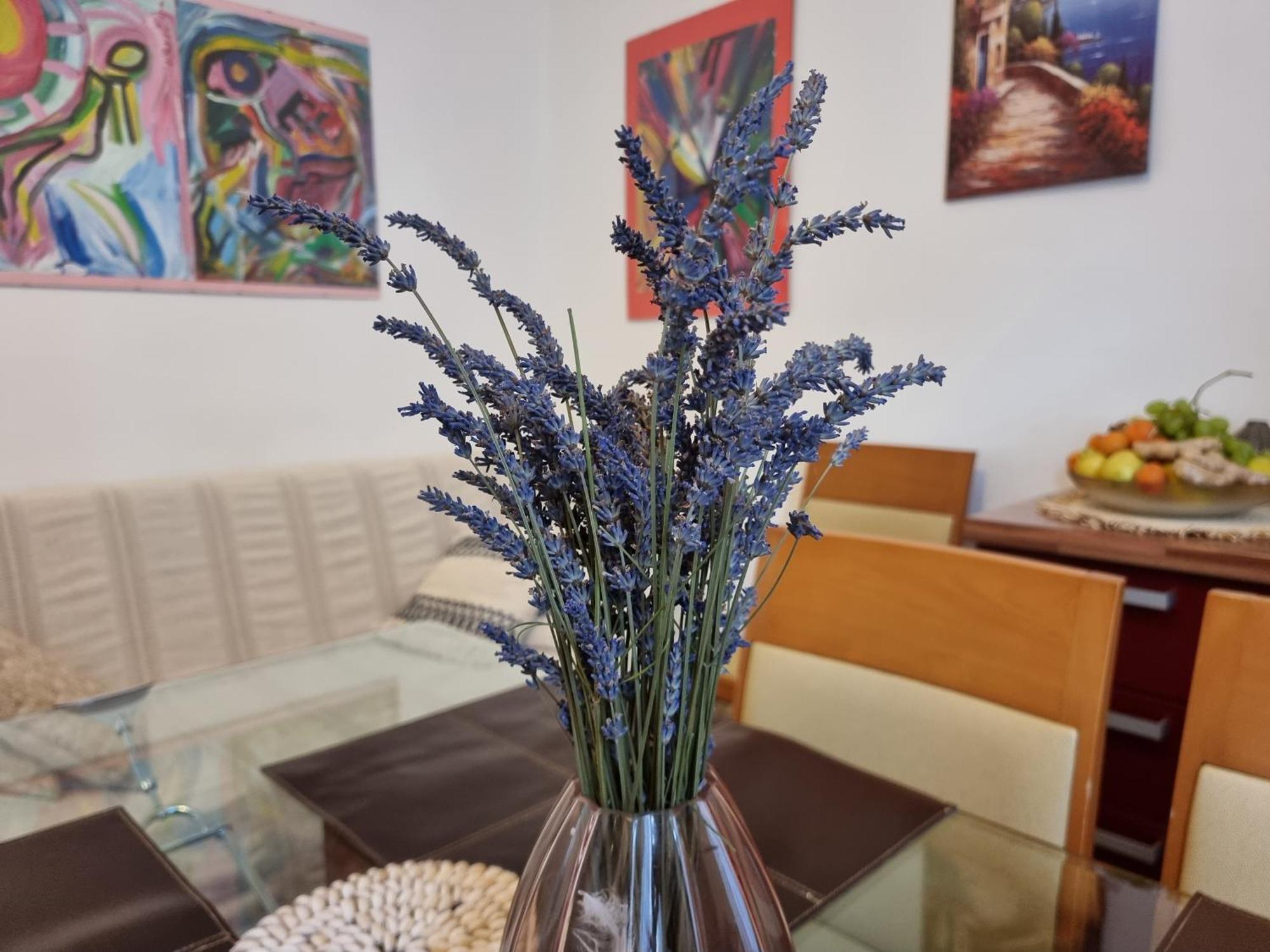 ***Apartment Magic &Summervibes*** Rijeka Eksteriør billede