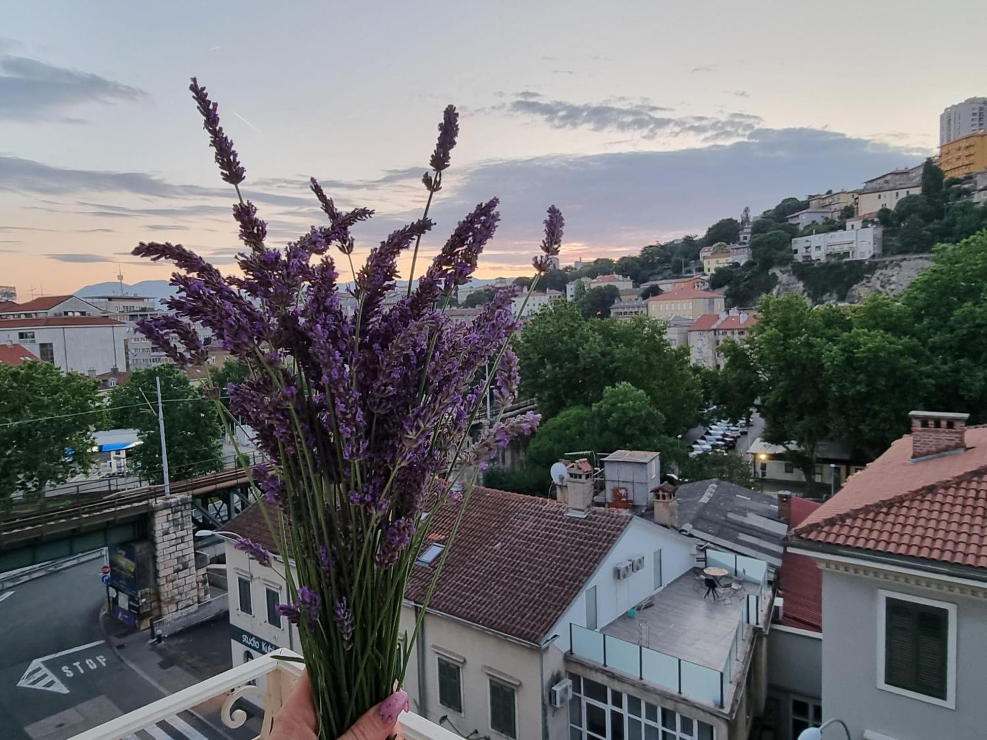 ***Apartment Magic &Summervibes*** Rijeka Eksteriør billede